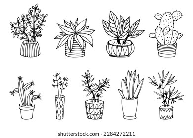 Set of hand drawn indoor flowers.