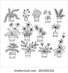 Set of hand drawn indoor plant in a pot, doodle design. Home plants. Illustration for print, web, mobile and infographics.