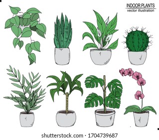 Set of hand drawn  indoor plants. Vector vintage illustration isolated on white background.