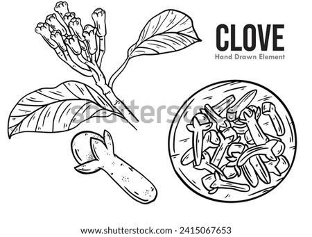 Set of hand drawn Ink Clove Trees. Retro botanical line art. Medical herbs and spices. Vintage raw Clove branches, leaves, and dried cloves. Herbal vector illustration isolated on white background
