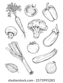 Set of hand drawn ink illustration of vegetables, cooking ingredients on white background