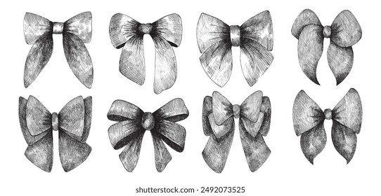 Set of hand drawn ink ribbon bows. Collection engraved bow knots. 