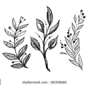 Set Of Hand Drawn Ink Sketch Spring Branch Plants With Leaves - Vector Illustration