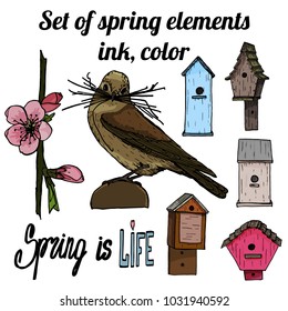 Set of hand drawn ink spring elements: bird, blooming twig, birdhouse, lettering. Color elements on white background. Vector illustration.