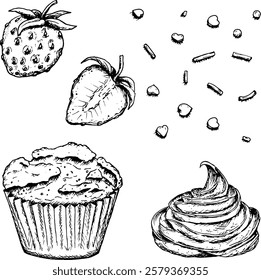 Set of hand drawn ink vector illustrations of a strawberry, muffin, whipped cream and sprinkles in the shape of hearts and stripes. Sketchy style dessert clipart for cafe menus, bakery prints