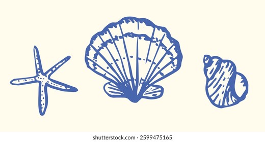 Set of Hand drawn ink vector seashell illustration. Conceptual, naive marine sketch.  Element for poster, social media, banners, invitation. Trendy seafood menu template.