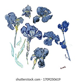 Set hand drawn irises flowers on a white background. Vector illustration, pattern based on the oil painting of Van Gogh. All object in  isolated.