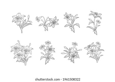 Set Of Hand Drawn Isolated Decorated Flowers Or Floral