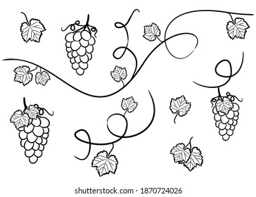 Handgezeichnete, einzelne Traubenelemente. Weinrebe, Bretter und Blätter. Vektorgrafik, schwarz-weiß. Dekoration für einen Weinberg, Restaurant, Bar, Keller.