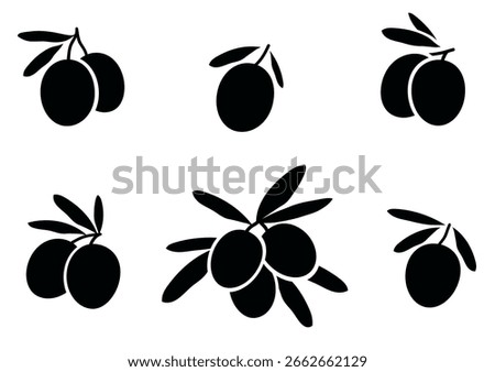 set of hand drawn isolated olive branches silhouettes on white background