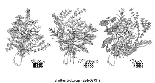 Set of hand drawn Italian, Provencal and Greek herbs bouquets sketch style, vector illustration isolated on white background. Black outline decorative design elements collection