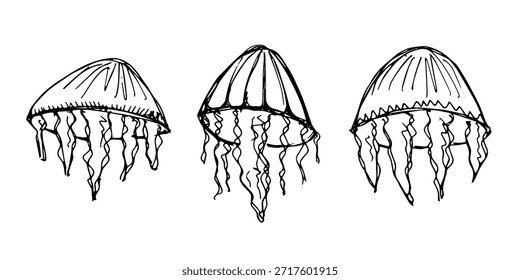 Conjunto de dibujado a mano doodle de medusa Ilustración de animales marinos Criatura submarina linda Clipart de boceto de Medusa Elemento único para Web, diseño, decoración, impresión para niños