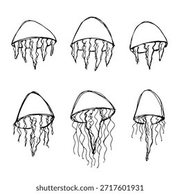 Conjunto de dibujado a mano doodle de medusa Ilustración de animales marinos Criatura submarina linda Clipart de boceto de Medusa Elemento único para Web, diseño, decoración, impresión para niños