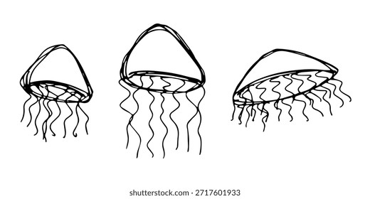 Conjunto de dibujado a mano doodle de medusa Ilustración de animales marinos Criatura submarina linda Clipart de boceto de Medusa Elemento único para Web, diseño, decoración, impresión para niños