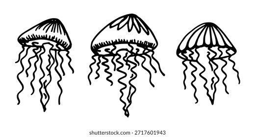 Conjunto de dibujado a mano doodle de medusa Ilustración de animales marinos Criatura submarina linda Clipart de boceto de Medusa Elemento único para Web, diseño, decoración, impresión para niños