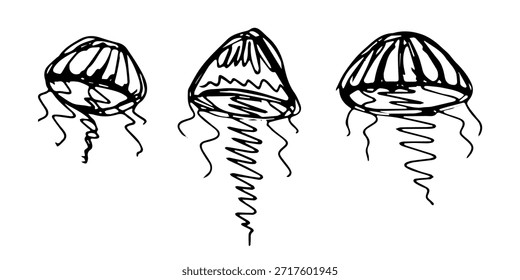 Conjunto de dibujado a mano doodle de medusa Ilustración de animales marinos Criatura submarina linda Clipart de boceto de Medusa Elemento único para Web, diseño, decoración, impresión para niños