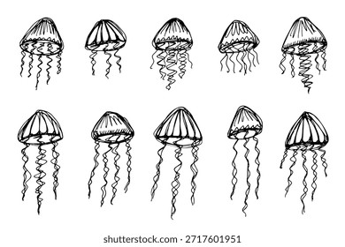 Conjunto de dibujado a mano doodle de medusa Ilustración de animales marinos Criatura submarina linda Clipart de boceto de Medusa Elemento único para Web, diseño, decoración, impresión para niños