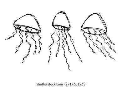 Conjunto de dibujado a mano doodle de medusa Ilustración de animales marinos Criatura submarina linda Clipart de boceto de Medusa Elemento único para Web, diseño, decoración, impresión para niños