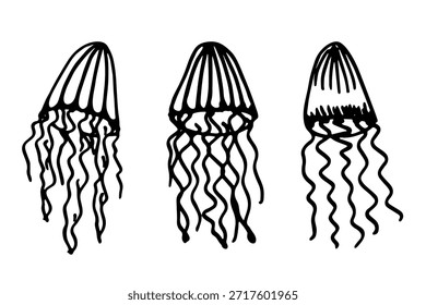 Conjunto de dibujado a mano doodle de medusa Ilustración de animales marinos Criatura submarina linda Clipart de boceto de Medusa Elemento único para Web, diseño, decoración, impresión para niños