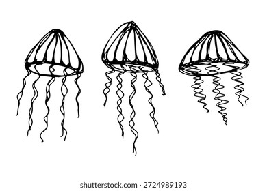 Conjunto de dibujado a mano doodle de medusa Ilustración de animales marinos Criatura submarina linda Clipart de boceto de Medusa Elemento único para Web, diseño, decoración, impresión para niños