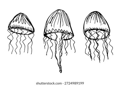 Conjunto de medusas desenhadas à mão doodle Sea animal ilustração Criatura submarina bonito marinho Medusa esboço clipart Elemento único para web, design, decoração, impressão infantil