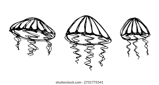 Set handgezeichnete Qualle doodle Meertier Illustration Niedliche marine Unterwasserkreatur Medusa Skizze Clipart Einzelelement für Web, Design, Dekor, Kinderdruck