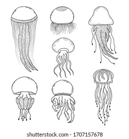 Set of hand drawn jellyfishes in doodle style on white background.