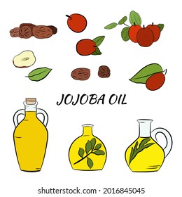 Ramas de jojoba dibujadas a mano con frutas, flores y hojas. Colección de plantas de Jojoba. Ilustración vectorial botánica. Elementos para el menú, etiqueta, diseño de embalaje.