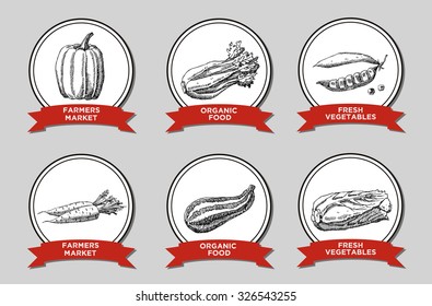 A set of hand drawn labels with vegetables. Pumpkin, celery, peas, carrots, zucchini, cabbage.  for vegan products, brochures, banner, restaurant menu, farmers market and organic food store