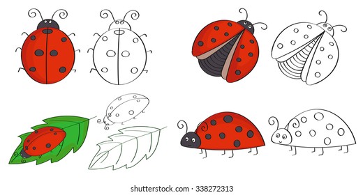 Set of hand drawn ladybugs. Vector illustrations of colorful ladybirds. 