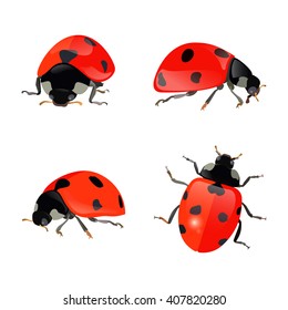 Set of hand drawn ladybugs. Vector ladybirds collection. eps10