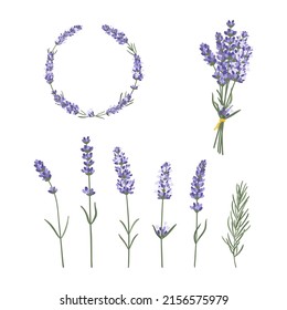 Set of hand drawn lavender flowers