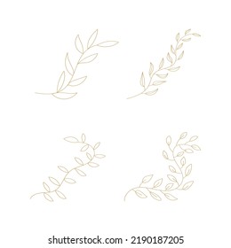 Set of hand drawn leaf branch flower with different shape on white background.