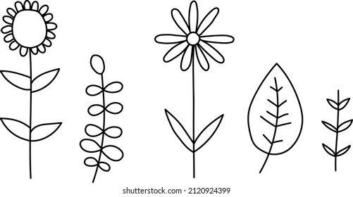 Conjunto de ilustraciones de hoja dibujadas a mano y vectores de flores, aislado de linearto, elementos gráficos para su diseño, linealidad para diseño clásico.
