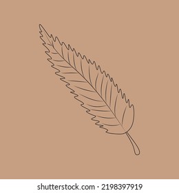 Set of hand drawn leaf outlines. Vector illustration. on the autumn background.