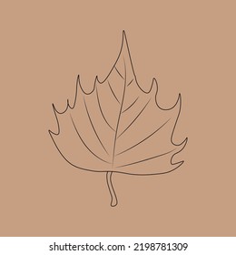 Set of hand drawn leaf outlines. Vector illustration. on the autumn background.