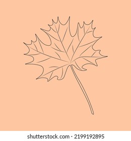 Set of hand drawn leaf outlines. Vector illustration. on the autumn background.