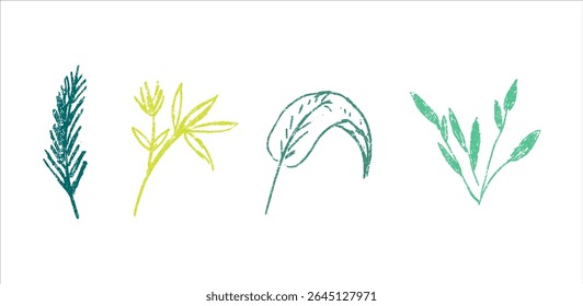 Conjunto de hoja dibujada a mano, planta con crayón, textura de tiza, Ilustración vectorial
