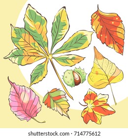 Set of hand drawn leaves