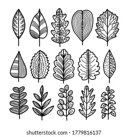 Set of hand drawn leaves. Abstract doodle drawing. Isolated over white background. Vector illustration