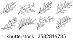 Set of Hand Drawn Leaves,  Bloosoms and Branches. Clip Art Set. Vector eps