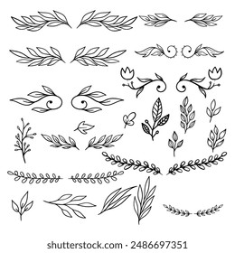 Set of hand drawn leaves, branches, flowers, flourishes. Design element for banner, sign, poster, decoration. Vector illustration