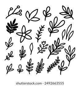 Set of hand drawn leaves, branches, flowers, flourishes. Design element for banner, sign, poster, decoration. Vector illustration