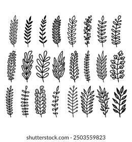 Conjunto de hojas dibujadas a mano, ramas, flores, flores. Elemento de diseño para Anuncio, letrero, cartel, decoración. Ilustración vectorial