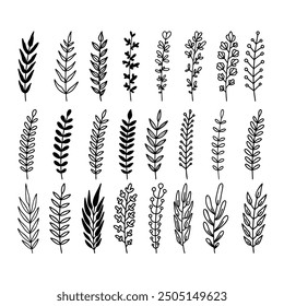 Set of hand drawn leaves, branches, flowers, flourishes. Design element for banner, sign, poster, decoration. Vector illustration