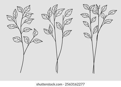 Set Hand Drawn Leaves and Branches on White Isolated Background – Botanical vector Illustration