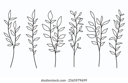 Set Hand Drawn Leaves and Branches on White Isolated Background – Botanical vector Illustration