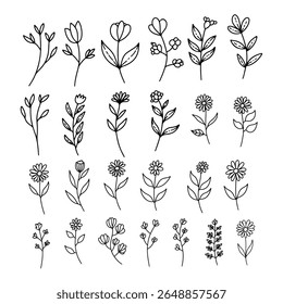 Set of hand drawn leaves, branches, flowers, flourishes. Design element for banner, sign, poster, decoration. Vector illustration