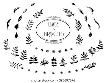 Set of hand drawn leaves and branches. Vector illustration