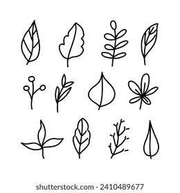 Set of hand drawn leaves doodle. botanical leaf vector.